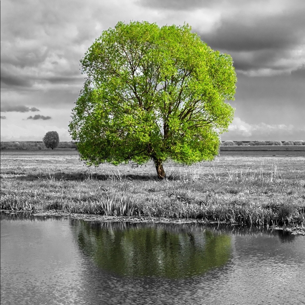 Meet your Posher, Jose luis